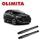 Amortiguadores Traseros Chevrolet Captiva Del 2007 Al 2017 - Miniatura 1