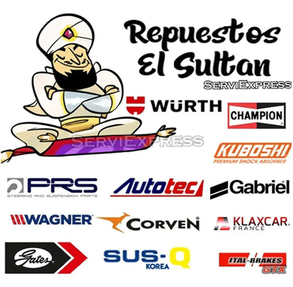 Amortiguadores Delanteros Peugeot 207 Del 2007 Al 2014 2