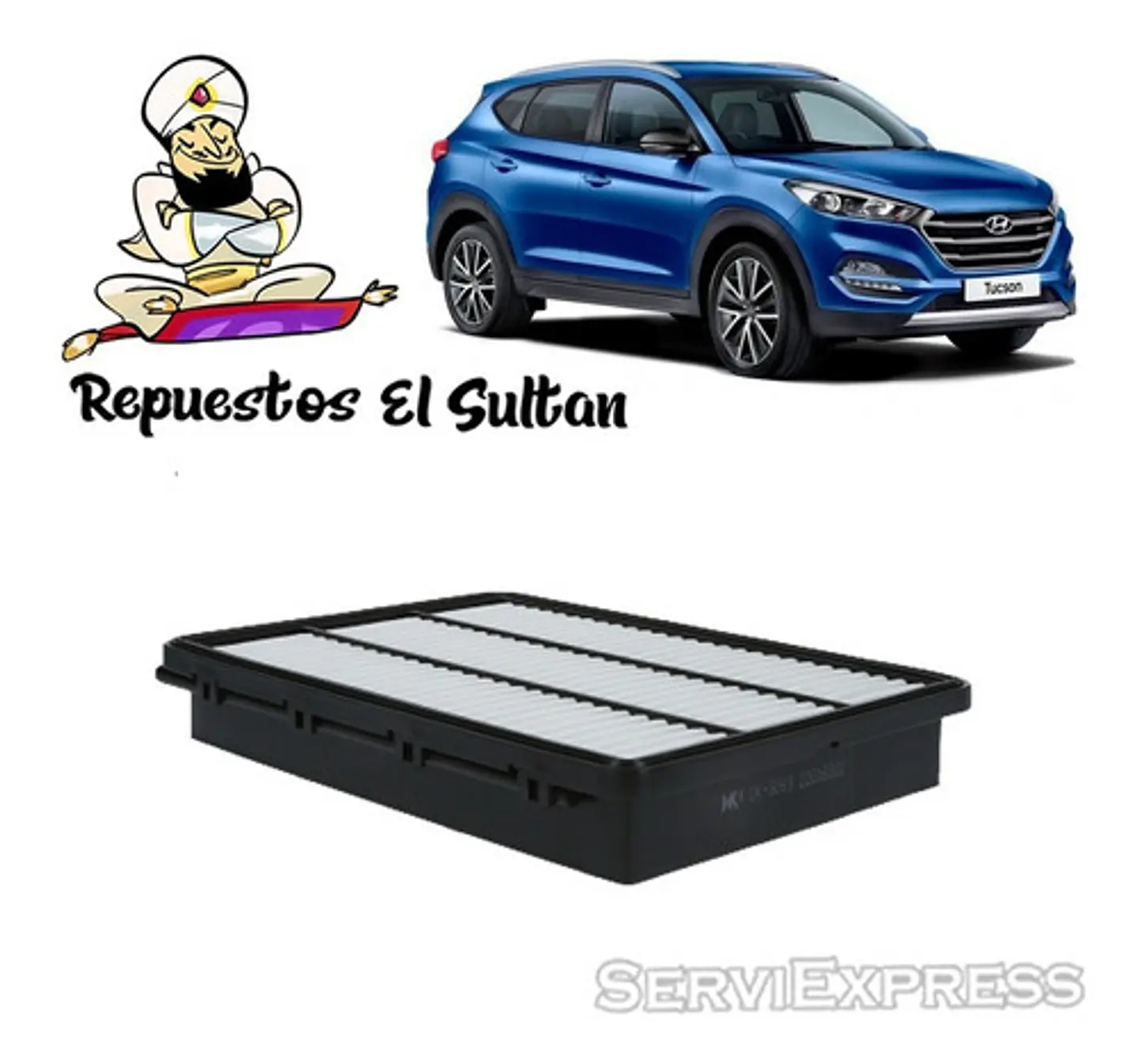 Filtro Aire Hyundai Tucson 2.0 2016 - 2021 1