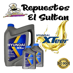 Aceite Original Hyundai 5w30 Sintético 8l Dpf Y Bencinero