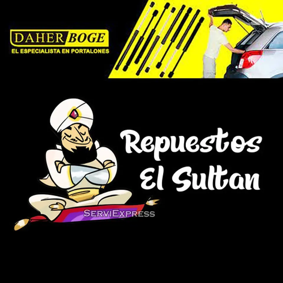 Par Amortiguadores Capot Chevrolet Apache S-10 1995 - 2012 2