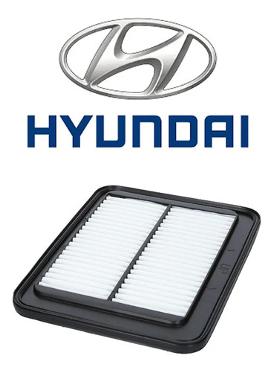 Filtro Aire Hyundai I10 1.1 2008-2014 1