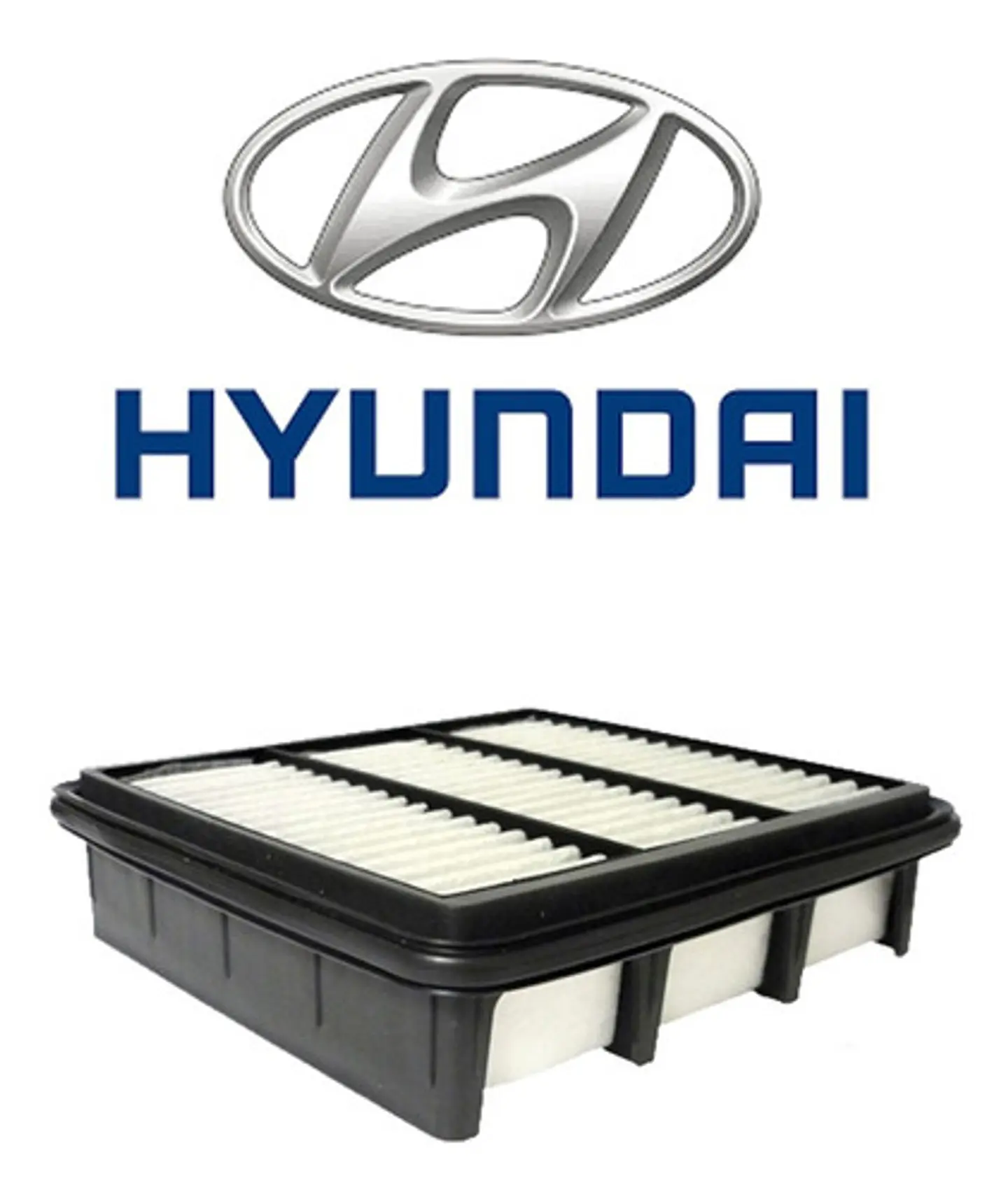 Filtro Aire Hyundai I30 1.6 2008-2011 G4fc 1