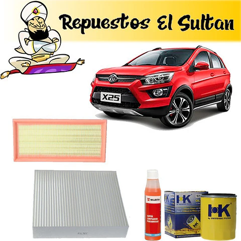 Kit De Mantencion Filtros Baic X25 2016 - 2022