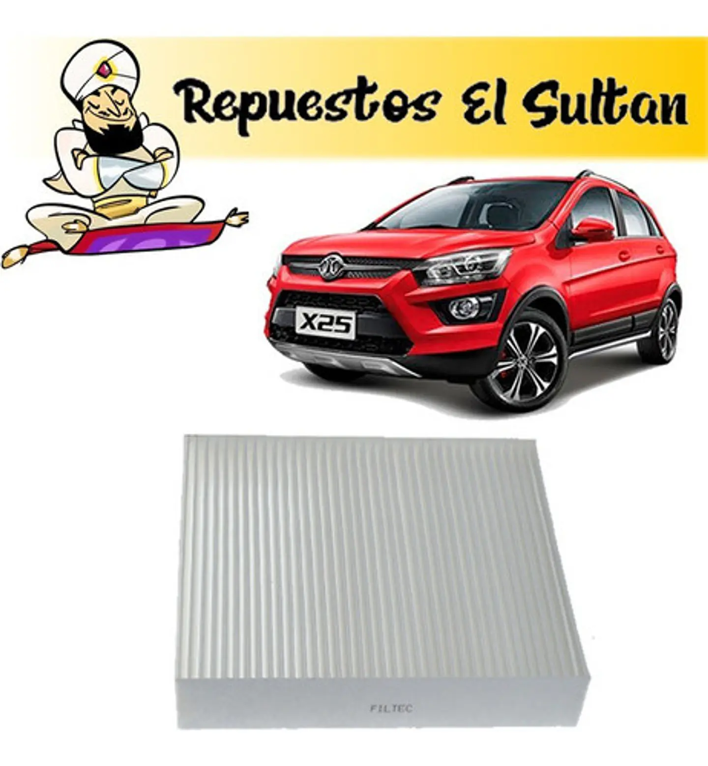 Filtro Polen Baic X25 1.5 2016-2022 1