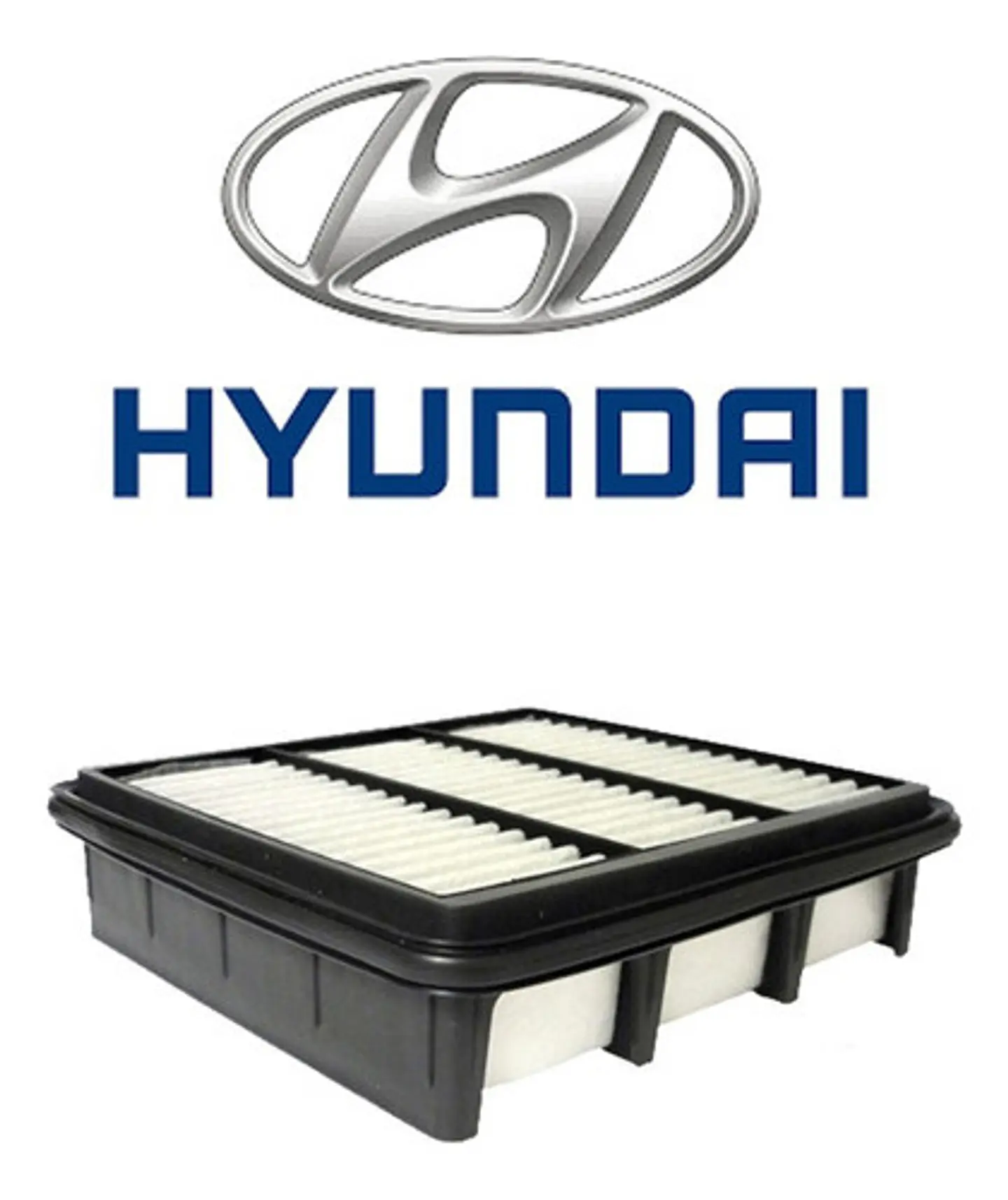 Filtro Aire Kia Cerato 1.6 2008-2012 G4fc 1