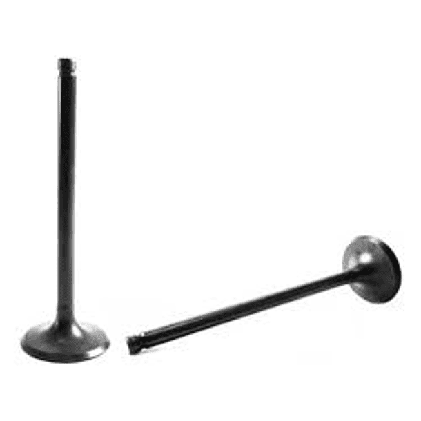 VALVULA ESCAPE HYUNDAI H-100 