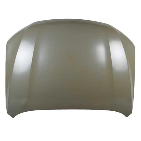 CAPOT GREAT WALL POER CON HOYO 2021-2024 