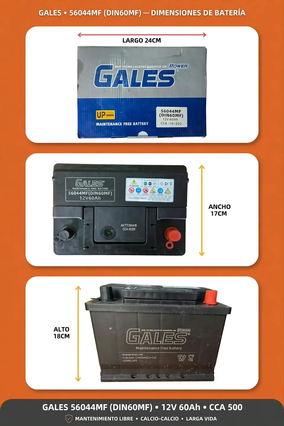 BATERIA DE 60AH 500CCA GALES BAJA POSITIVO A LA DERECHA  1