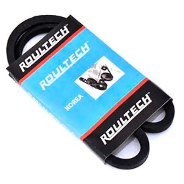 A-97 CORREA LISA COREA ROULTECH 1