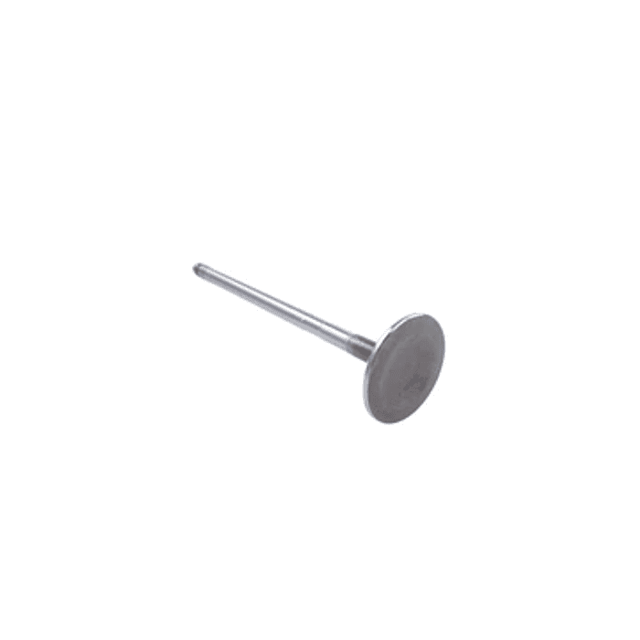 Set 4 Valvulas ESC Subaru