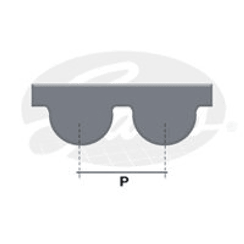 CORREA DISTRIBUCION GATE N° Dientes: 95 Largo:904,875 mm. Paso:9,525 mm. Ancho:19 mm.	