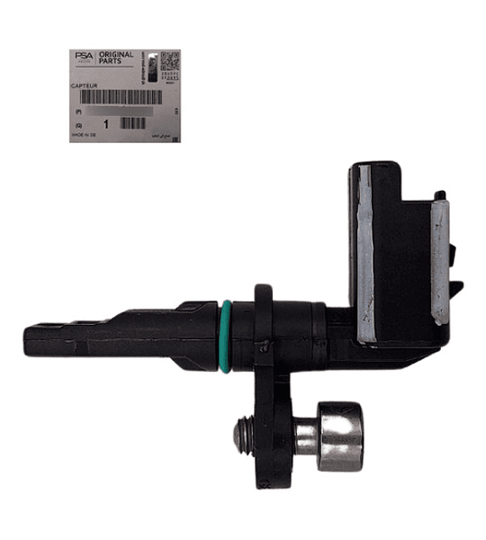 Captor Abs Trasero Para Peugeot Expert K0 Original