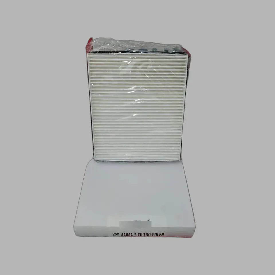 Filtro De Polen Para Haima 2 3 1