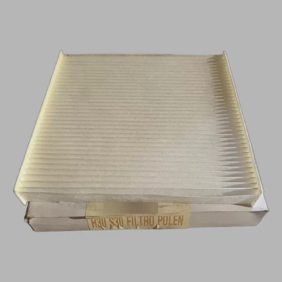 Filtro De Polen Para DFM H30 S30 Mantener El Aire Limpio En Los Modelos De Pasajeros H30 1