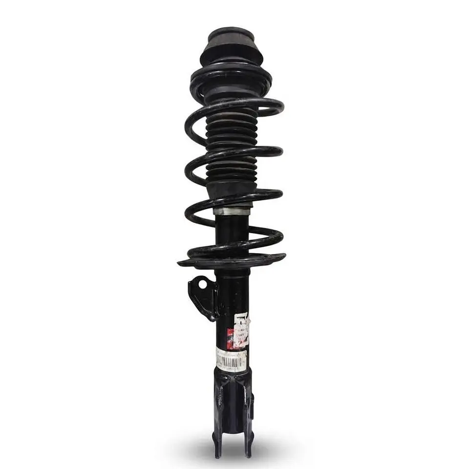 Amortiguador Delantero Completo Izquierdo Para Great Wall C30 1