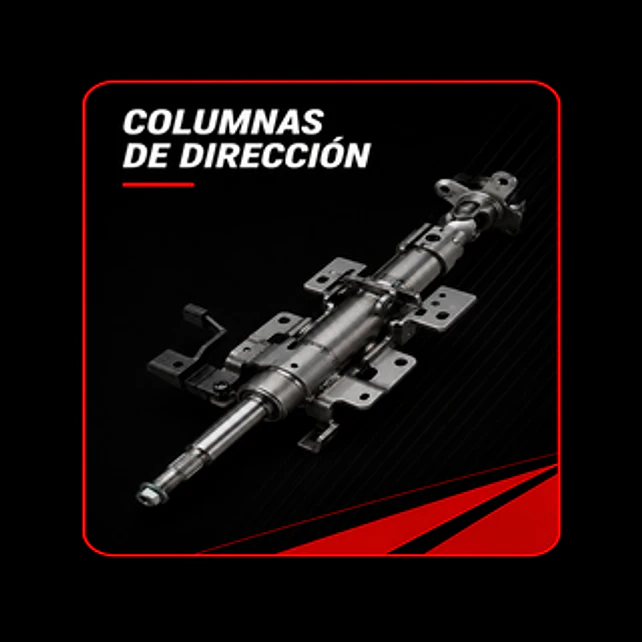 Columnas de Direccion