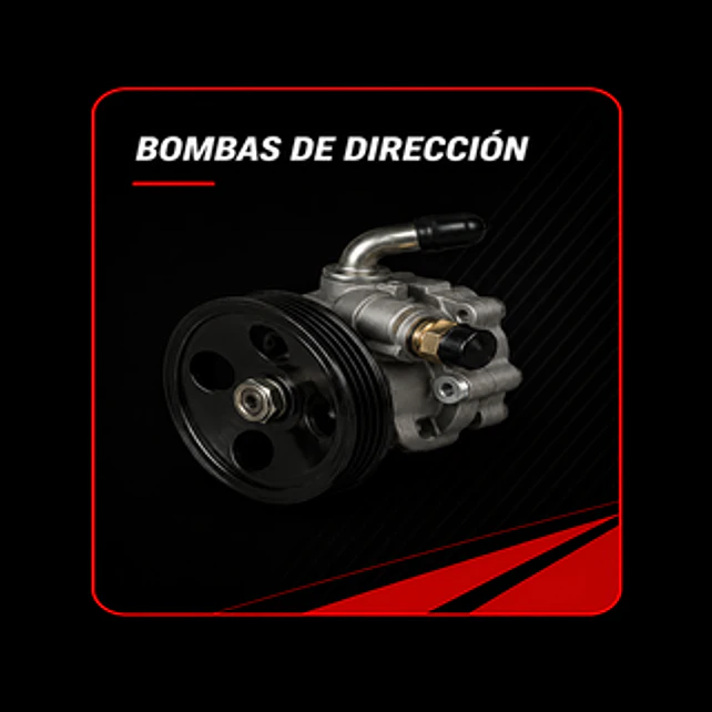 Bombas Direccion