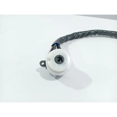 Modulo Encendido Chapa Contacto Para Great Wall Socool