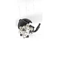 Bomba Direccion Hidraulica Para DFM S500 Joyear X3 SX5 1.6 - Miniatura 2
