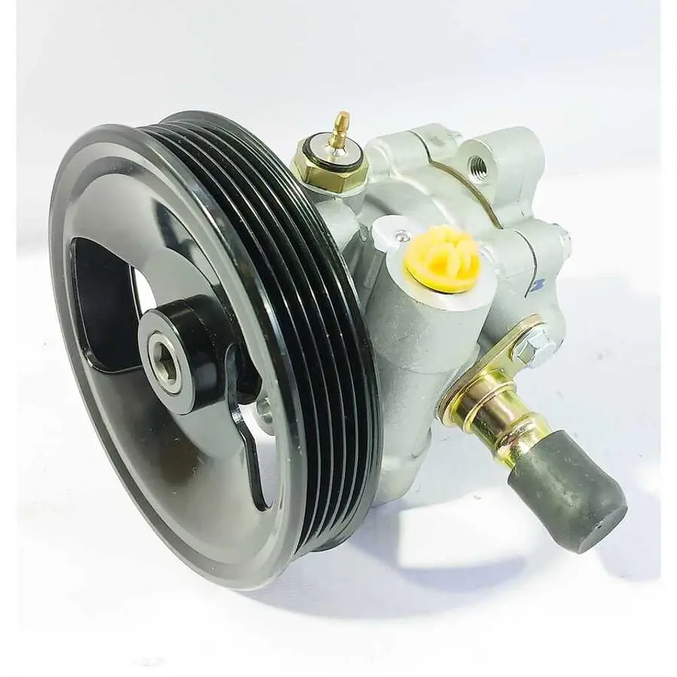Bomba Direccion Hidraulica Para BYD G3 3