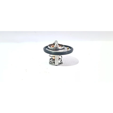 Termostato Para JAC S1 S2 S3 J2 J3 J4 J5 - B Class A137 Js2 Js3 Vvt Brilliance Euphoria 4a92 BAIC X25 X35 X55 DFM Joyear X3 S50 S500 SX6 1.6 Haima 2