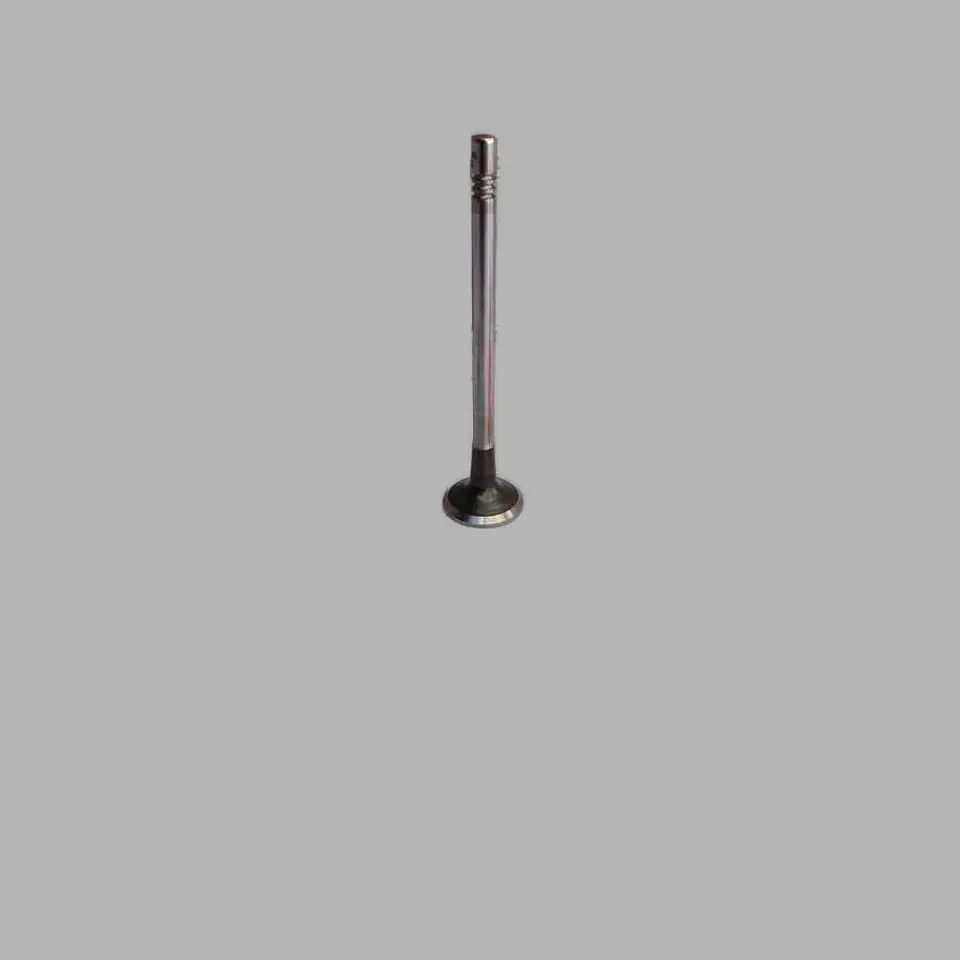 Valvula Admision (Unidad) Para Maxus G10 1.9 1