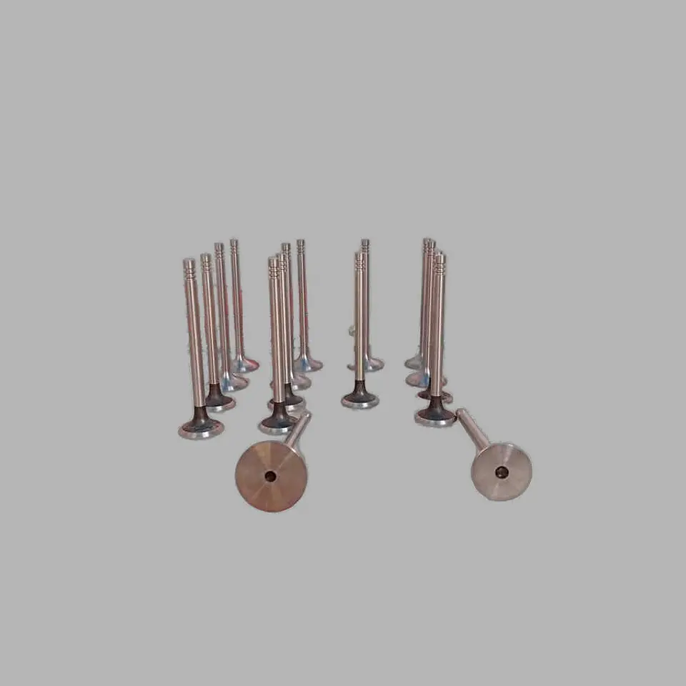 Kit Valvula Admision Y Escape Para GAC GS5 1