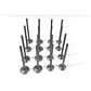 Kit Valvulas Admision Y Escape 4d20 Para Great Wall Wingle 5 2.0 Wingle 6 2.0 Wingle 7 2.0 H6 2.0 - Miniatura 1