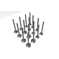 Kit Valvulas Admision Y Escape 4d20 Para Great Wall Wingle 5 2.0 Wingle 6 2.0 Wingle 7 2.0 H6 2.0 - Miniatura 2