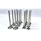 Kit Valvulas Admision Y Escape CG14 Para Brilliance T30 T32 T50 T52 X30 - Miniatura 1