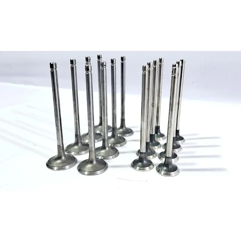Kit Valvulas Admision Y Escape CG14 Para Brilliance T30 T32 T50 T52 X30 1