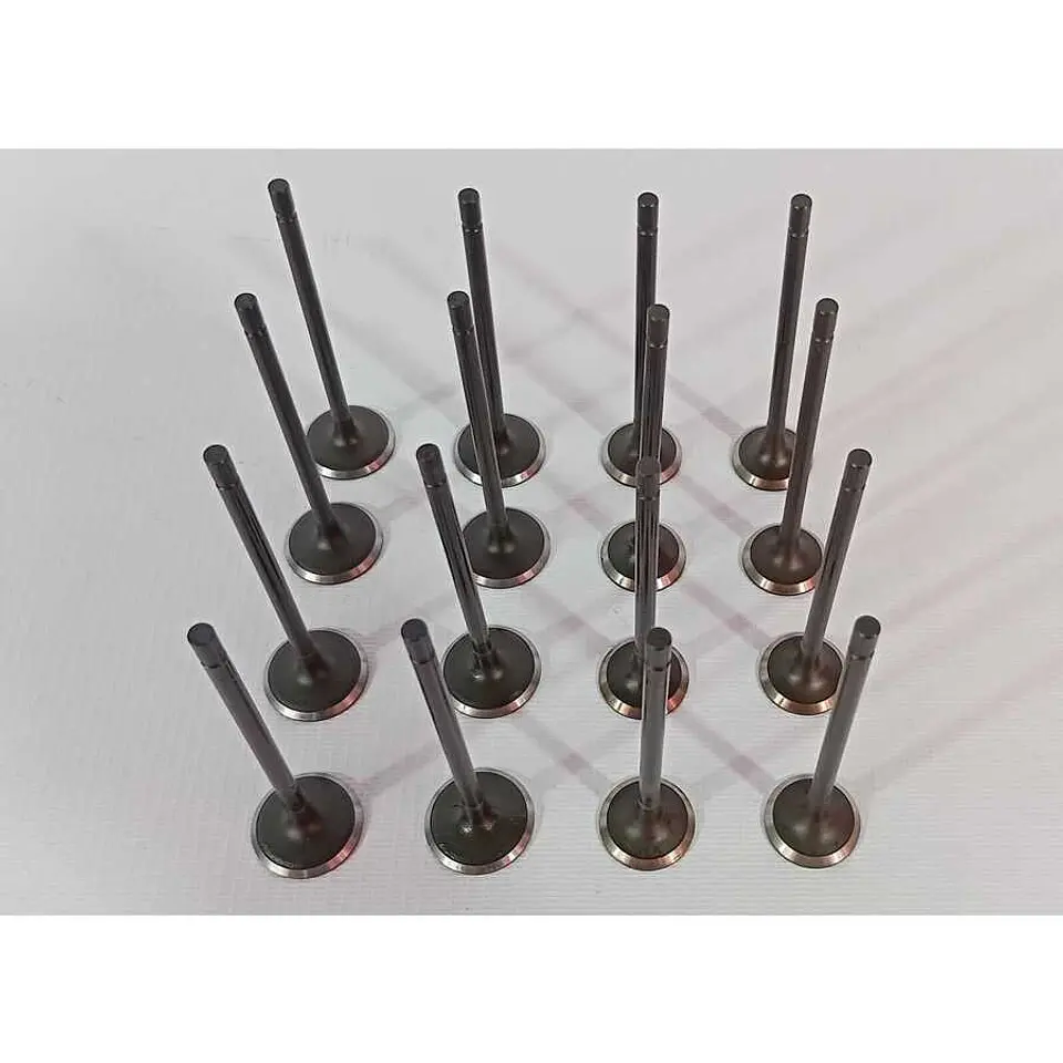 Kit Valvulas Admision Y Escape Para BAIC Plus 1.2 A12 1