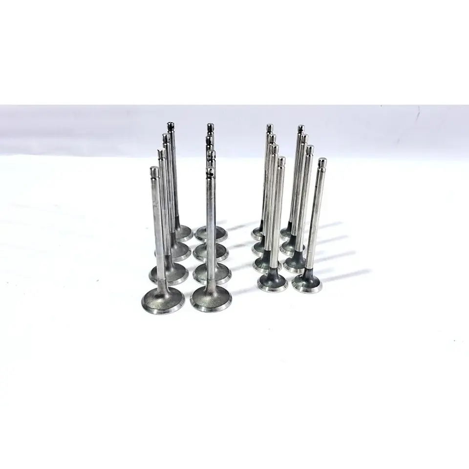 Kit Valvulas Admision Y Escape CG14 Para Brilliance T30 T32 T50 T52 X30 3