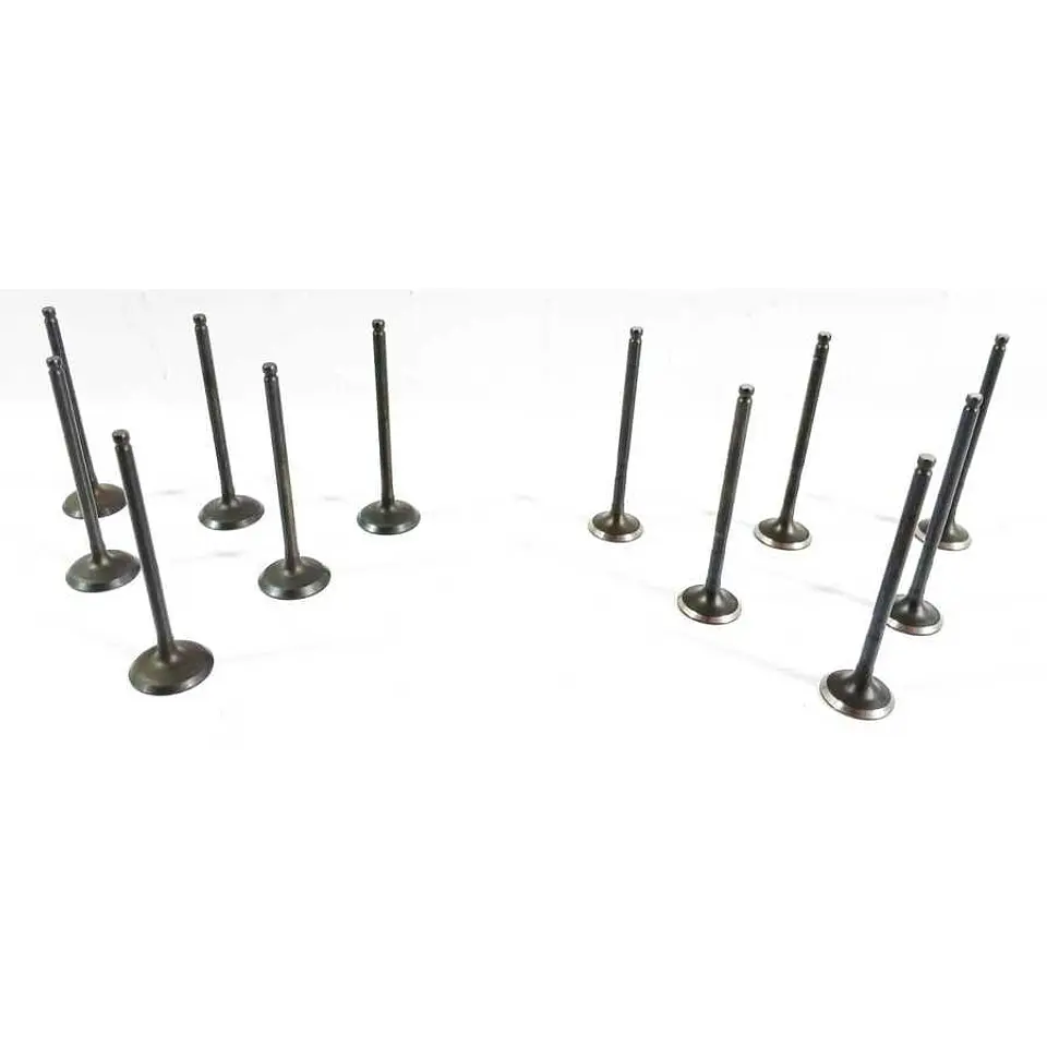Kit Valvulas Admision Y Escape Para BYD F0 2