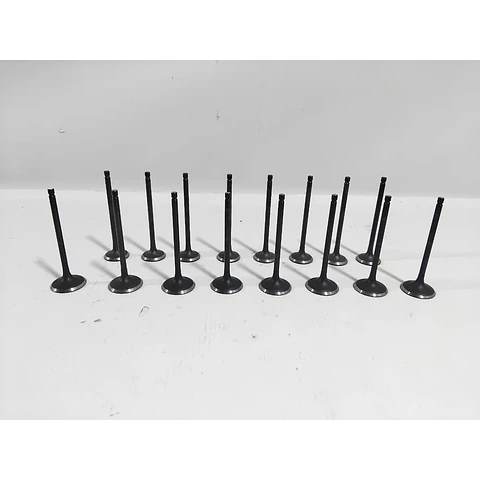 Kit Valvulas Admision Y Escape Para JAC A137 J3 J5 B Class Vvt S1 S2 Js2 S3 Grand S3 JAC Js3 J4 DFM Joyear X3 S500 SX5 1.6 SX6 1.6