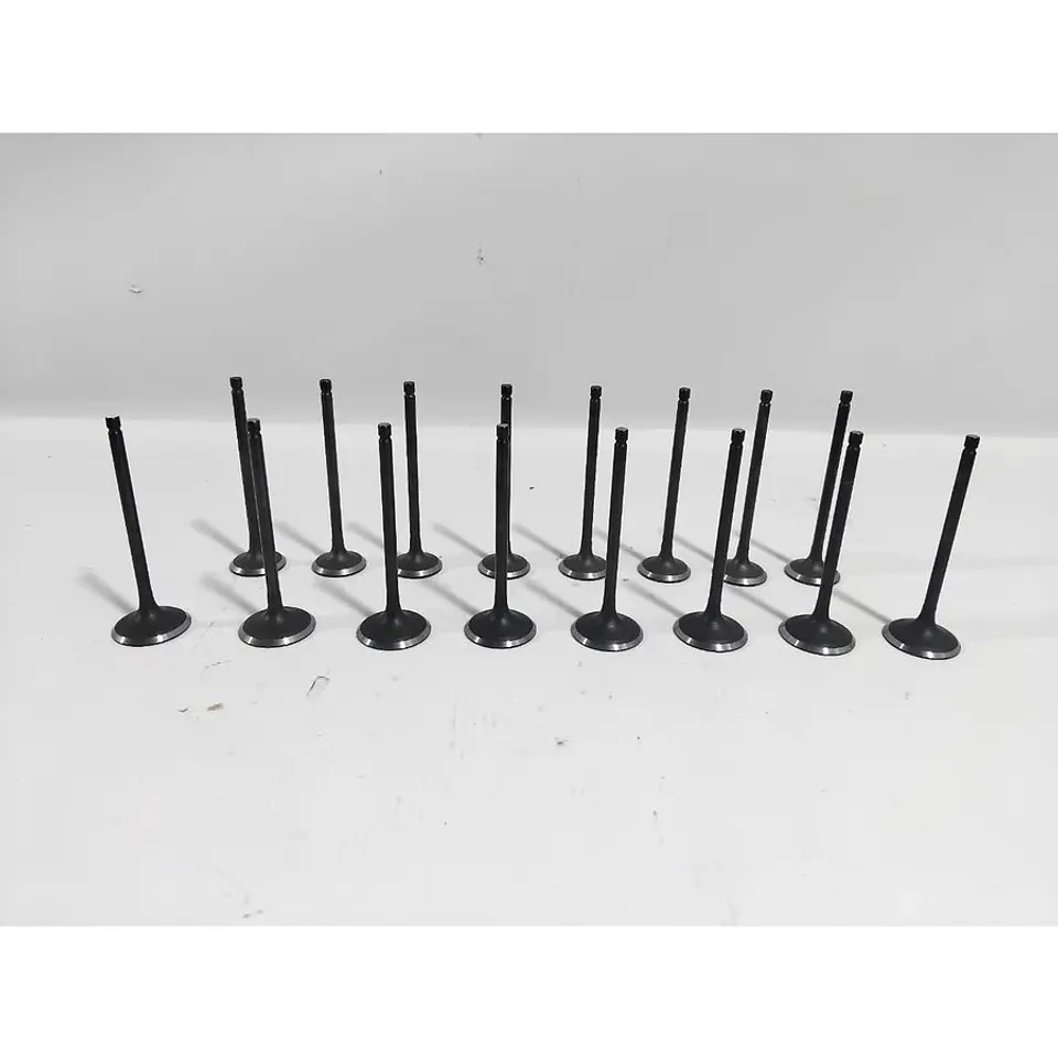 Kit Valvulas Admision Y Escape Para JAC A137 J3 J5 B Class Vvt S1 S2 Js2 S3 Grand S3 JAC Js3 J4 DFM Joyear X3 S500 SX5 1.6 SX6 1.6 1