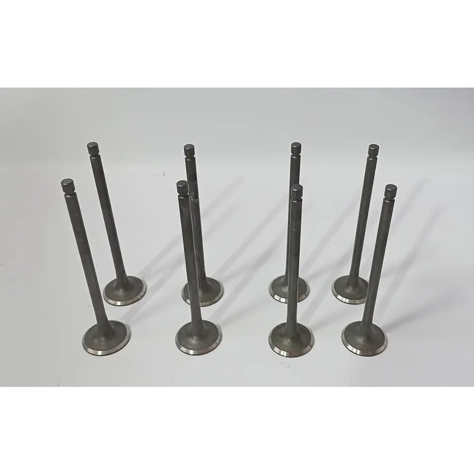 Kit Valvulas Escape (8 Undidades) Para Great Wall H3 H5 Hover 3