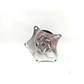 Bomba Agua Para MG 5 New Desde 2020 - Miniatura 2