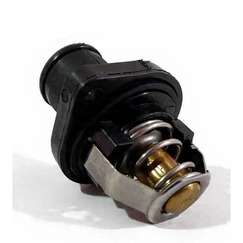 Termostato Completo Para DFM H30 S30