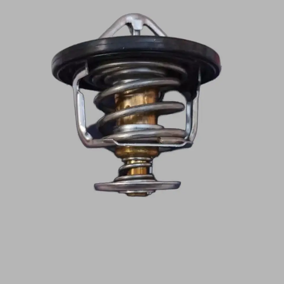 Termostato Para BYD S6 2.0 1