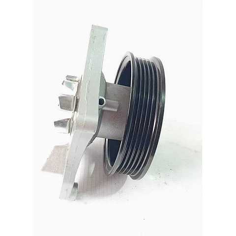 Bomba Agua Con Polea Para MG Rx5 Hs Gs 1.5