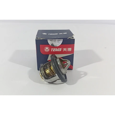 Termostato Para Foton TM3
