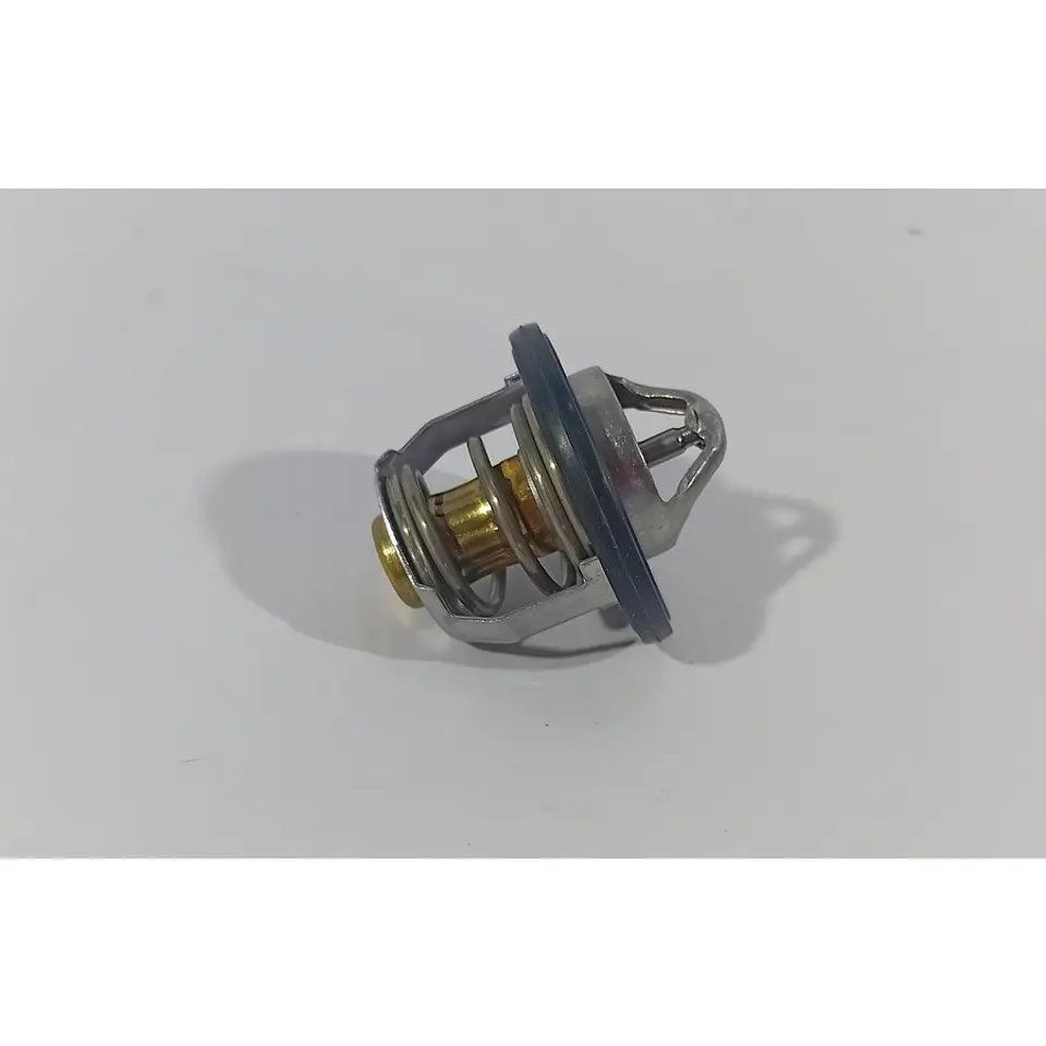 Termostato Para Foton TM3 2