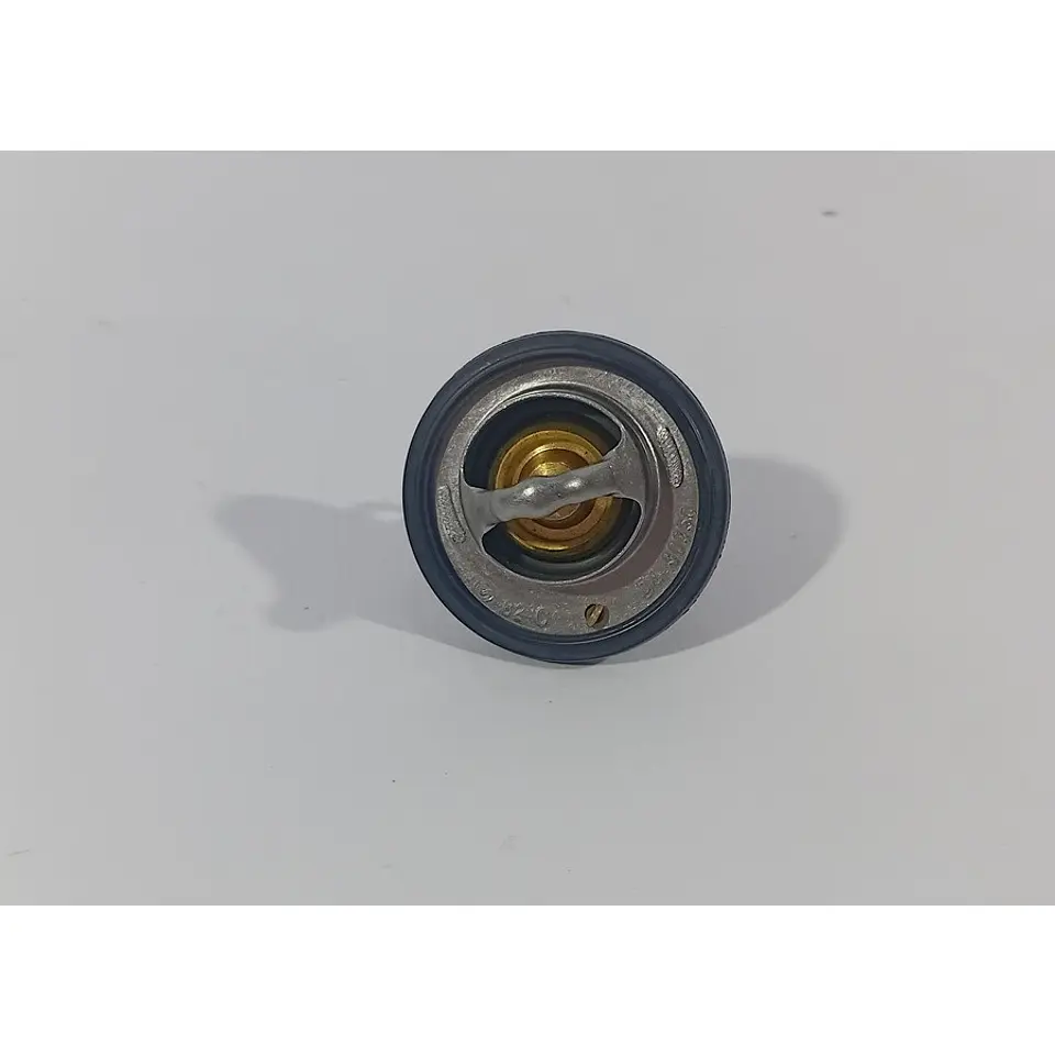 Termostato Para Foton TM3 3