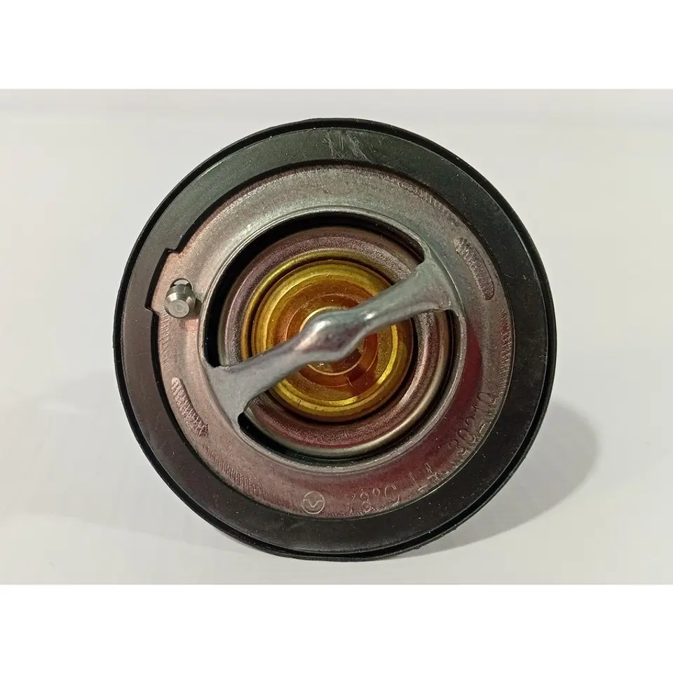Termostato Para Maxus C35 G10 1.9 2