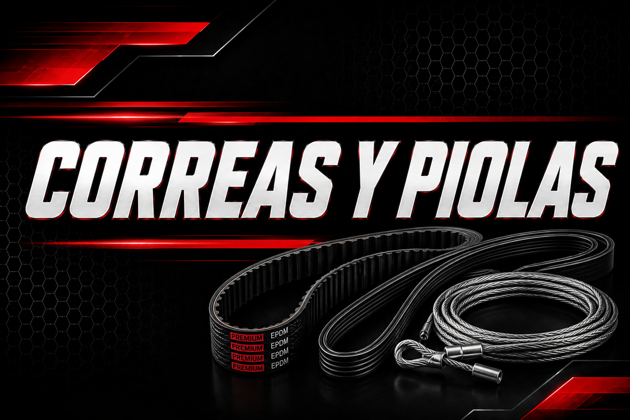 Correas y Piolas