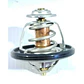 Termostato ZNA Rich 2.4 2010-2020 - Miniatura 1