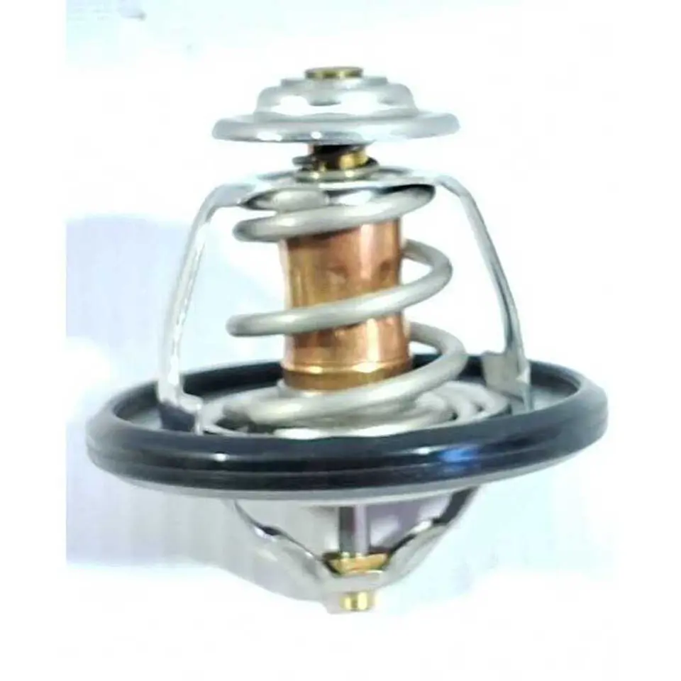 Termostato ZNA Rich 2.4 2010-2020 1
