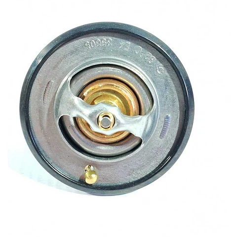 Termostato ZNA Rich 2.4 2010-2020